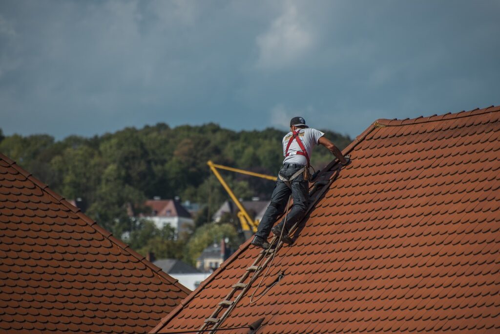 Inspecting the Roof