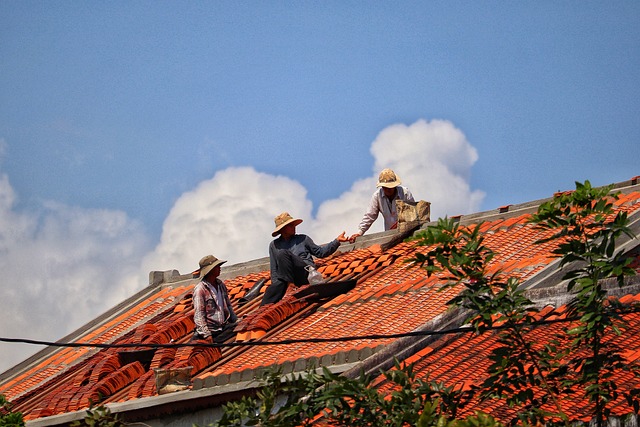 Inspecting the Roof